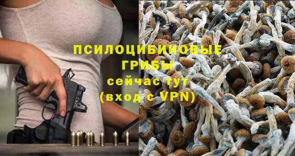 бошки Покров