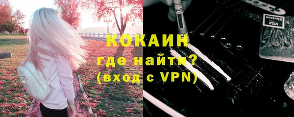 сатива Баксан