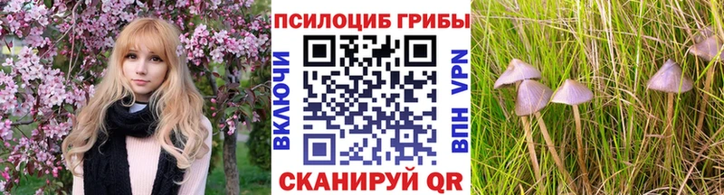 Псилоцибиновые грибы Cubensis  Озёры 